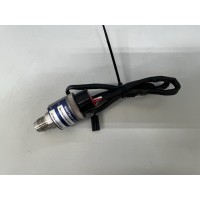 Withman Controls W117G-25H-K12L24-X 15PSIG PRESSUR...